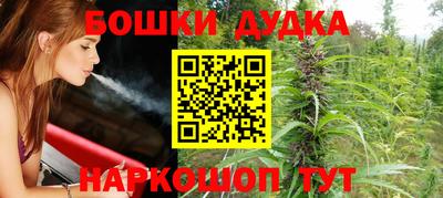 индика Волжский