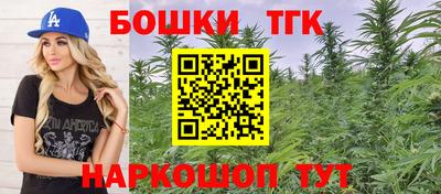индика Волжский