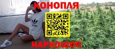 индика Волжский
