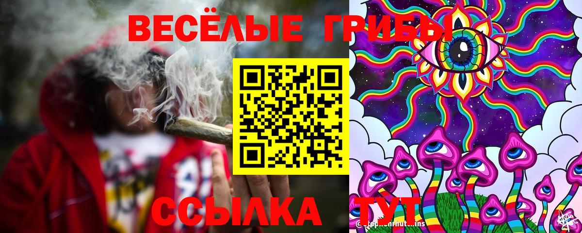 Галлюциногенные грибы мицелий Кубинка