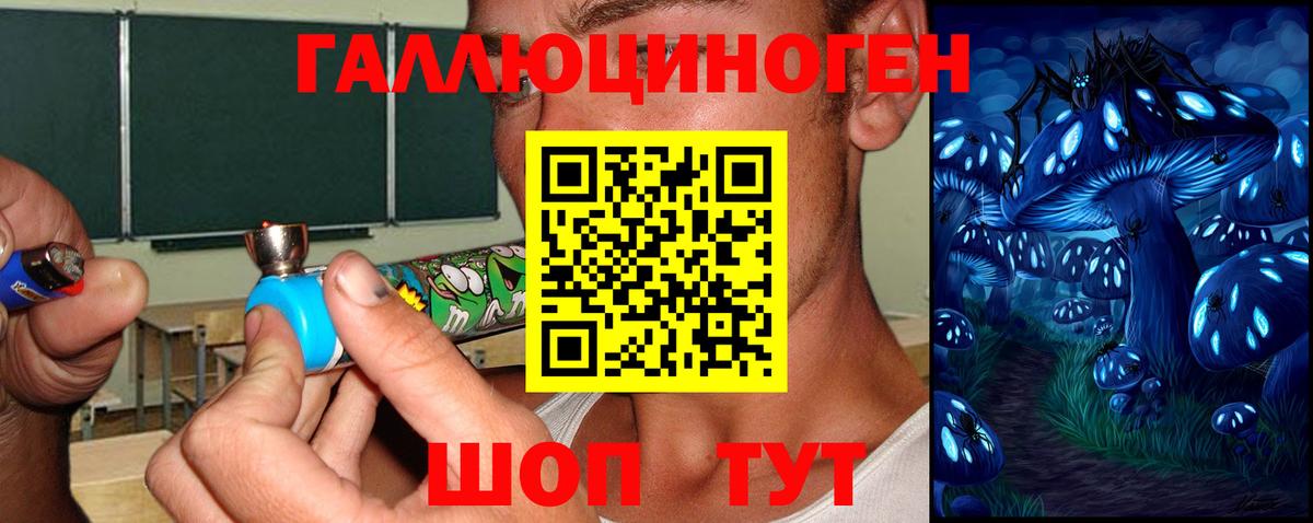 Галлюциногенные грибы MAGIC MUSHROOMS  Вход с VPN  Кубинка  Псилоцибиновые грибы Psilocybine cubensis 